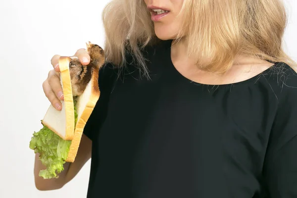 Lebendhuhn Sandwich Werbung Für Vegetarismus Der Mann Hält Noch Ein — Stockfoto