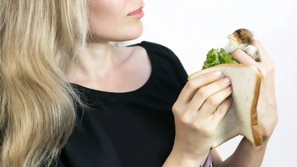 Lebendhuhn Sandwich Werbung Für Vegetarismus Mann Hält Noch Ein Lebendes — Stockfoto