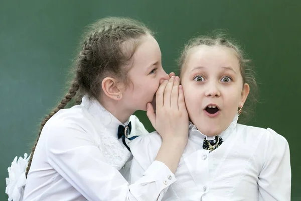 School friend tells a secret in his ear.School friend tells a secret in his ear. Schoolgirls classmates share their secrets of secrets telling a whisper in his ear near the blackboard in the office,