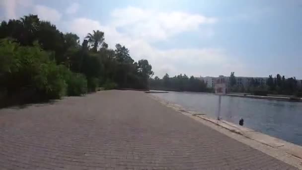 Rápido Passeio Perto Lago Palmeiras Vídeo Acelerado Passeio Longo Calçada — Vídeo de Stock