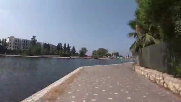 在湖边和棕榈树附近快速散步 沿着城市湖边人行道散步的加速视频 — 图库视频影像