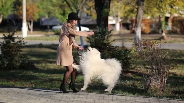 一个穿着秋衣的女孩在公园里训练一只狗 一个戴着外套帽的女人正在街上训练一只狗 这只狗用后腿站立 — 图库视频影像
