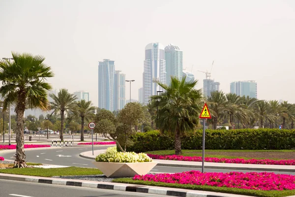 Palm Tree Bed Red Flowers Red Flowers Planted Highway Which — Stock Photo, Image