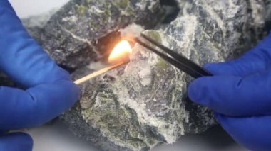 Bir laboratuvar teknisyeni kayalık kayadan krisotil asbest liflerini çıkarmak için cımbız kullanır. Taştan kopmuş asbest lifleri.