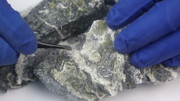 温石棉纤维与石材分离 一名实验室技术员用镊子从岩中取出温石棉纤维 — 图库视频影像