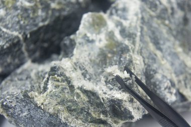 Krisotil asbest lifini kapatın. Ev sahibi kayadan cımbızla alınan mineral kozmik asbestin liflerinin makro bir fotoğrafı..