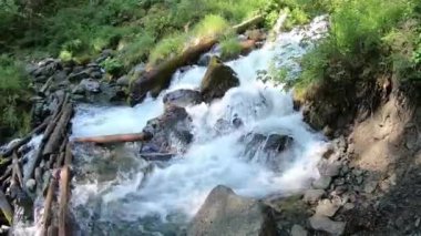 Güçlü dağ akıntısı, diğer tarafa geçmek için kütükler döşedi..