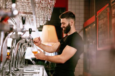 Barmen, Pub Bar çalışma. Fıçı bira bardağında dökme yakışıklı adam. Yüksek çözünürlük.