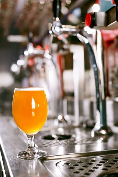 Bira Brewery Bir Bardak Soğuk Taze Buğday Bira Sayacı Pub — Stok fotoğraf