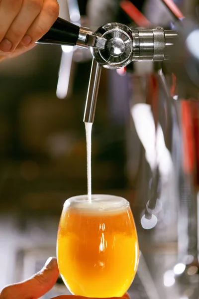 Fıçı Bira Taze Buğday Bira Bardağında Biralarından Dökme Closeup Barda — Stok fotoğraf