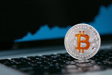 Bitcoin para birimi kapatın. Cryptocurrency madeni para bilgisayardaki dijital mali grafik ile. Yüksek çözünürlük