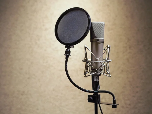 Microphone In Sound Recording Studio. Professional Microphone — Stock Photo, Image