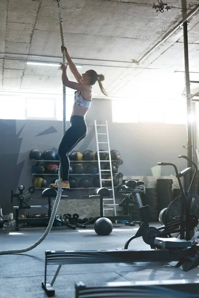 Training At Gym. Female Crossfit Athlete Climbing Rope Stock Photo