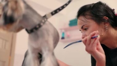 Evde beslenen hayvan damat Salon. Köpek saç alma hayvan Spa Salon de kesmek