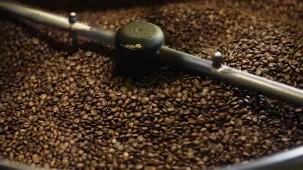 Coffee Production. Brown Beans Roasting In Machine Closeup — Stock Video