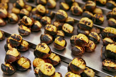 Doğu Pazar portre üzerinde kavrulmuş kestane