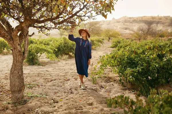 İnsan doğası. Yeşil ağaç yakınındaki güzel kadın 