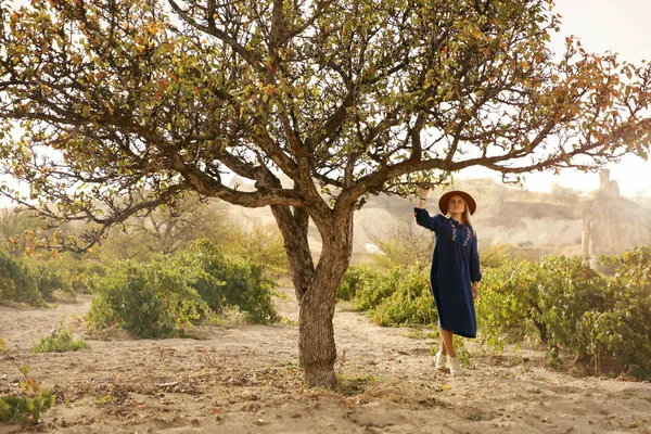 İnsan doğası. Yeşil ağaç yakınındaki güzel kadın 