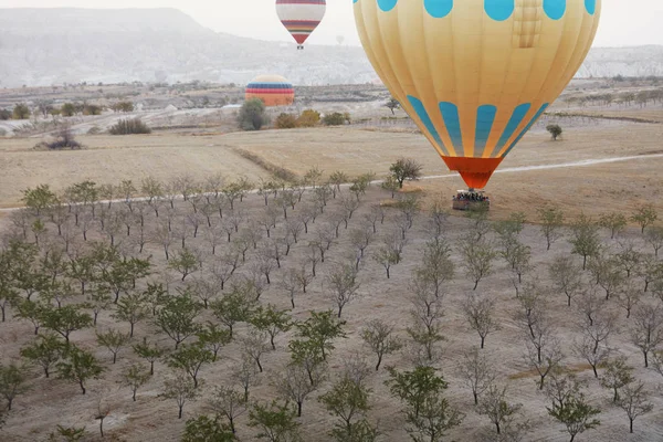 Ballon à air chaud coloré avec panier dans le champ avec des arbres — Photo