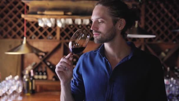 Γευσιγνωσία κρασιού. Άνδρα μυρίζοντας, πίνοντας κόκκινο κρασί στο κελάρι του οινοποιείου — Αρχείο Βίντεο