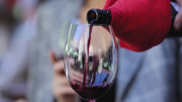 Rotwein. Kellner schenkt Wein im Glas im Restaurant ein — Stockvideo