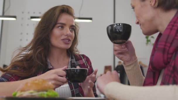 Vrienden van de mooie vrouwen drinken koffie, communiceren In Cafe — Stockvideo