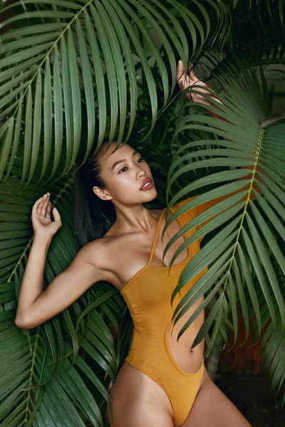 Moda de verano. Modelo de mujer en traje de baño cerca de hojas de palma —  Fotos de Stock