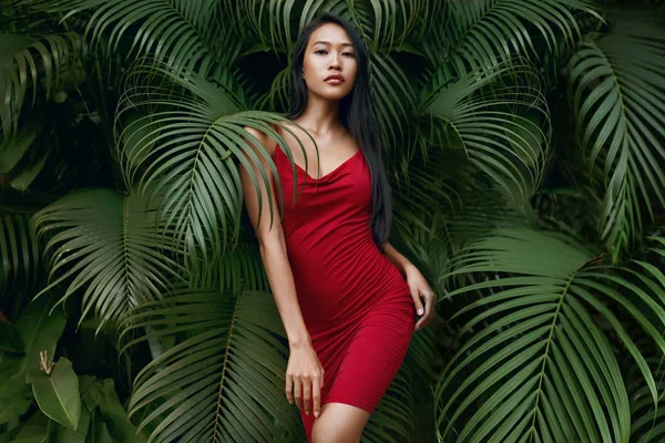 Divat. Női modell piros ruhában, zöld pálmalevél — Stock Fotó