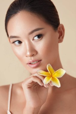 Yüzü. Kadın ve Çiçek Portresi. Bej arka planda Plumeria pozu veren çekici Asya Modeli. Çıplak makyajlı, sağlıklı, susuz, pürüzsüz ve SPA tedavisinden sonra ışıldayan cildi olan güzel kız..