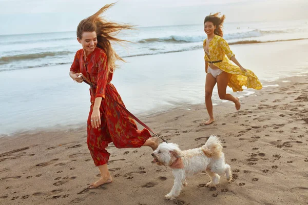 Stranden Flickor Med Hund Går Barfota Sandkusten Mode Kvinnor Bohemisk — Stockfoto