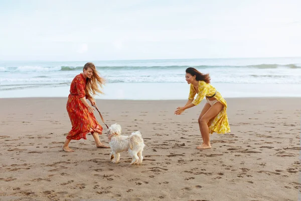 Dog-Friendly Beach. Barefoot Women In Boho Dresses Playing With Cute Puppy On Sandy Coast. Beautiful Fashion Models Enjoying Summer Vacation At Tropical Ocean. Travelling With Pet As Lifestyle.