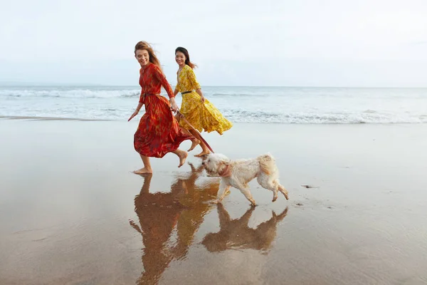 Girls Dog Beach Models Bohemian Clothing Pet Running Barefoot Sandy — Stock Photo, Image