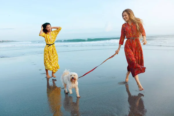 Flickor Med Hund Stranden Barfota Kvinnor Maxi Boho Klänningar Njuter — Stockfoto