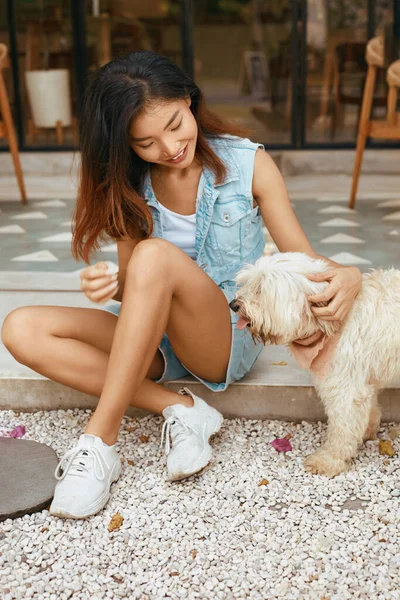 Verão Mulher Com Animal Estimação Terraço Café Dog Friendly Moda — Fotografia de Stock