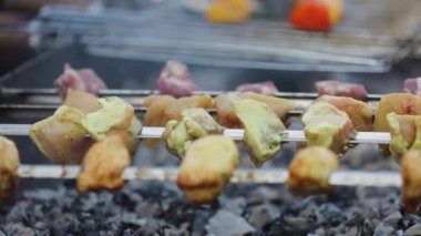 Barbekü. Izgarada Et ve Sebze Pişirme Kapanışı