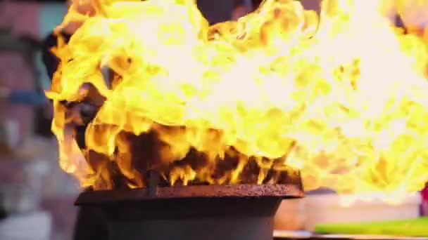 Matlagning. Chef hälla olja i Wok och steka grönsaker — Stockvideo
