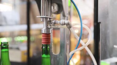 Bira demleme. Şişeler konveyör hattında, vakum buharlaşması