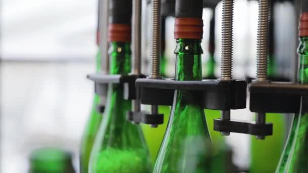 Producción de cerveza. Línea transportadora con botellas en el primer plano de la cervecería — Vídeo de stock