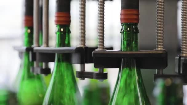 Производство пива. Конвейерная линия с бутылками на пивоваренном заводе — стоковое видео