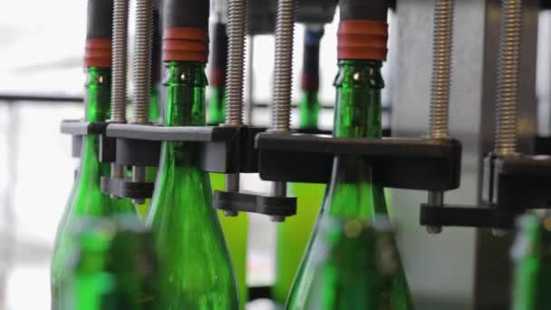 Beer Production. Conveyor Line With Bottles At Brewery Closeup — Stock Video
