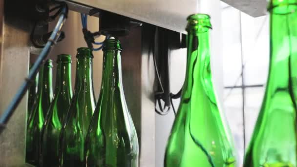 Fabricação de cerveja. Linha de transporte com garrafas, desinfecção — Vídeo de Stock