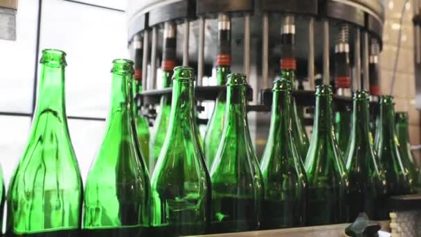 Pivní pivovarnický proces. Dopravníková linka s lahvemi v pivovaru — Stock video