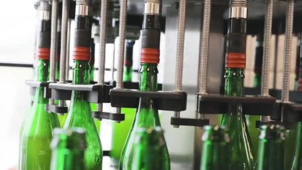 Processo di produzione della birra. Linea del trasportatore con le bottiglie al birrificio — Video Stock