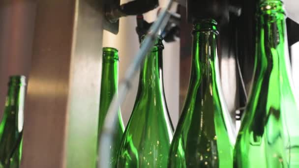 Bierherstellung. Förderband mit Flaschen, Desinfektion — Stockvideo