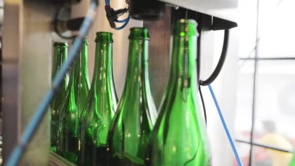 Bierherstellung. Förderband mit Flaschen, Desinfektion — Stockvideo