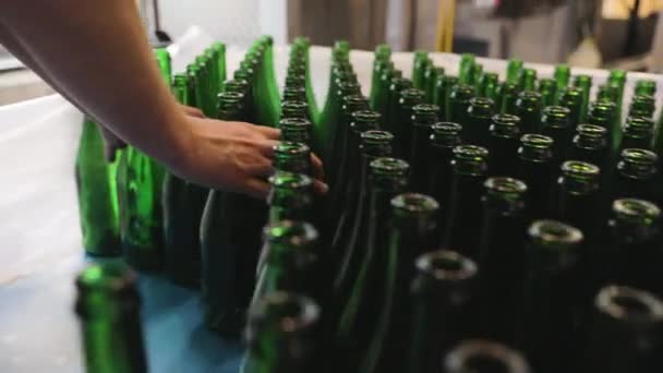 맥주 생산. 컨베이어 라인에 병을 설치하는 사람 — 비디오