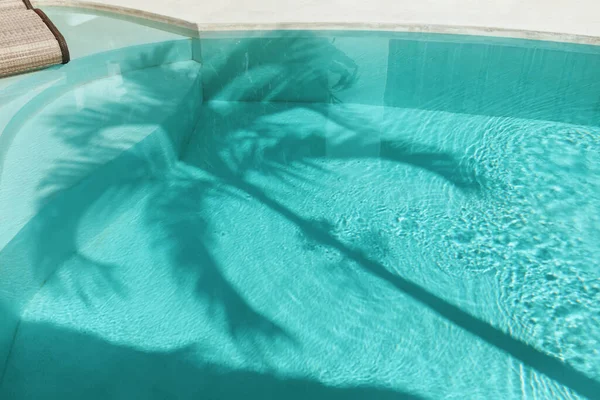 Palm Shadow a vízfelszínen. Úszómedence trópusi fa sziluettjével délben. — Stock Fotó