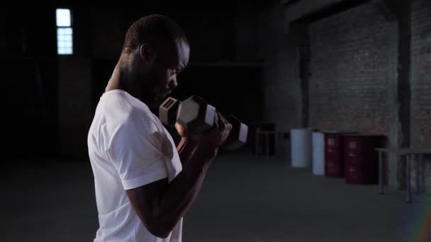 Entrenamiento. Hombre de deporte haciendo ejercicio de brazo con mancuerna en el gimnasio — Vídeo de stock