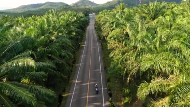 Widok z lotu ptaka podróżujący rowerem po drogach w tropikalnej naturze — Wideo stockowe