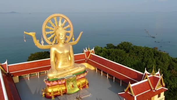 Buddha-templet. Flygfoto stor Buddha staty i Thailand — Stockvideo